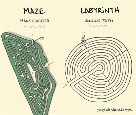 What is Driver Training: A Journey Through the Labyrinth of Skills and Metaphors